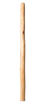 Earl Clements Didgeridoo (EC490)